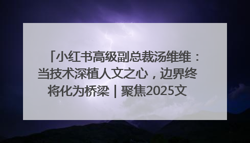 小红书高级副总裁汤维维：当技术深植人文之心，边界终将化为桥梁｜聚焦2025文化强国建设高峰论坛