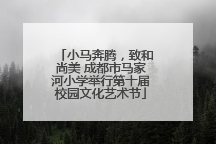 小马奔腾，致和尚美 成都市马家河小学举行第十届校园文化艺术节