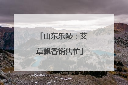 山东乐陵：艾草飘香销售忙