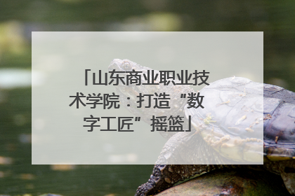山东商业职业技术学院：打造“数字工匠”摇篮