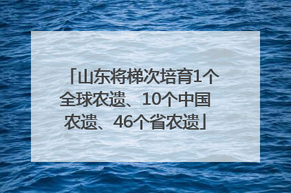 山东将梯次培育1个全球农遗、10个中国农遗、46个省农遗