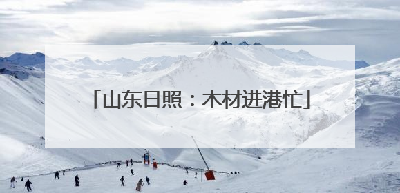 山东日照：木材进港忙