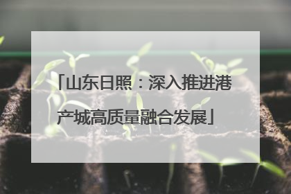山东日照：深入推进港产城高质量融合发展