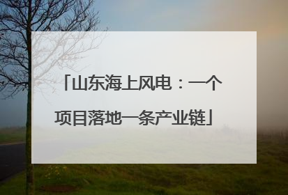 山东海上风电：一个项目落地一条产业链
