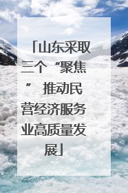 山东采取三个“聚焦” 推动民营经济服务业高质量发展