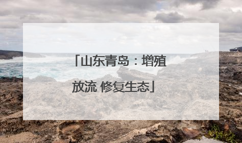山东青岛：增殖放流 修复生态