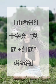 山西省红十字会“党建＋红建”谱新篇