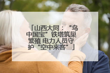 山西大同：“鸟中国宝”铁塔筑巢繁殖 电力人员守护“空中来客”