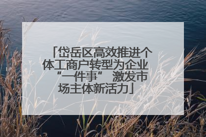 岱岳区高效推进个体工商户转型为企业“一件事” 激发市场主体新活力