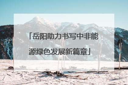 岳阳助力书写中非能源绿色发展新篇章