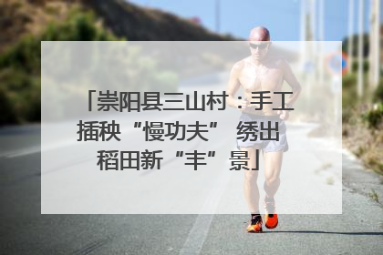 崇阳县三山村：手工插秧“慢功夫” 绣出稻田新“丰”景