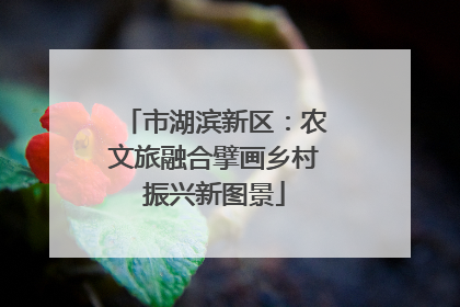 市湖滨新区：农文旅融合擘画乡村振兴新图景