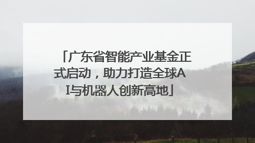 广东省智能产业基金正式启动，助力打造全球AI与机器人创新高地
