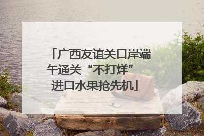 广西友谊关口岸端午通关“不打烊” 进口水果抢先机