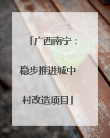 广西南宁：稳步推进城中村改造项目