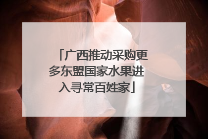 广西推动采购更多东盟国家水果进入寻常百姓家