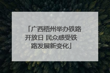 广西梧州举办铁路开放日 民众感受铁路发展新变化