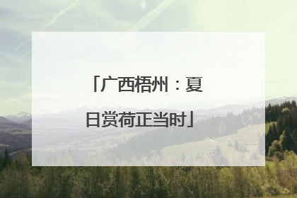 广西梧州：夏日赏荷正当时