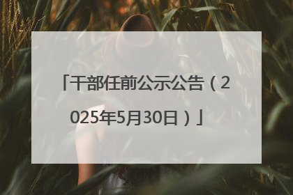 干部任前公示公告（2025年5月30日）