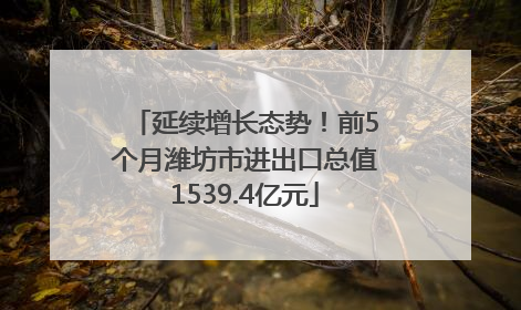 延续增长态势！前5个月潍坊市进出口总值1539.4亿元