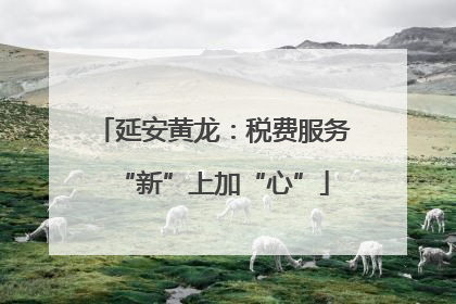 延安黄龙：税费服务“新”上加“心”
