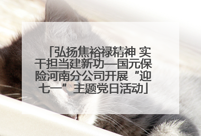弘扬焦裕禄精神 实干担当建新功—国元保险河南分公司开展“迎七一”主题党日活动