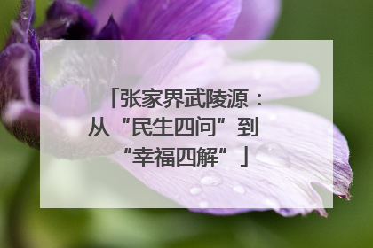 张家界武陵源：从“民生四问”到“幸福四解”