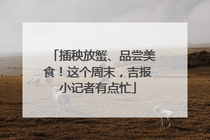 插秧放蟹、品尝美食！这个周末，吉报小记者有点忙