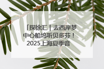 探徐汇｜去西岸梦中心船坞听贝多芬！2025上海夏季音乐节公布节目阵容