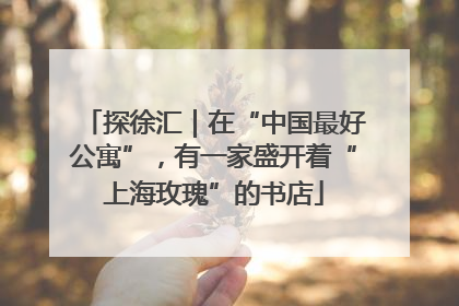 探徐汇｜在“中国最好公寓”，有一家盛开着“上海玫瑰”的书店