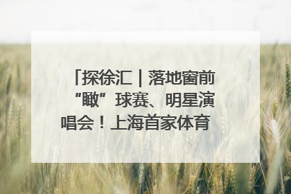 探徐汇｜落地窗前“瞰”球赛、明星演唱会！上海首家体育特色高端酒店亮相