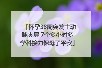 怀孕38周突发主动脉夹层 7个多小时多学科接力保母子平安