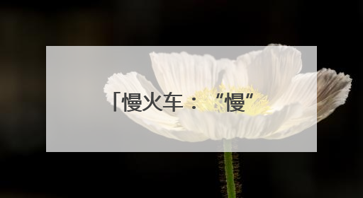 慢火车：“慢”出民生温度“驶”向美好未来