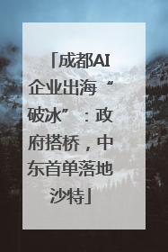 成都AI企业出海“破冰”：政府搭桥，中东首单落地沙特