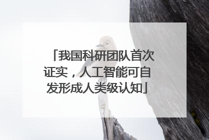 我国科研团队首次证实，人工智能可自发形成人类级认知