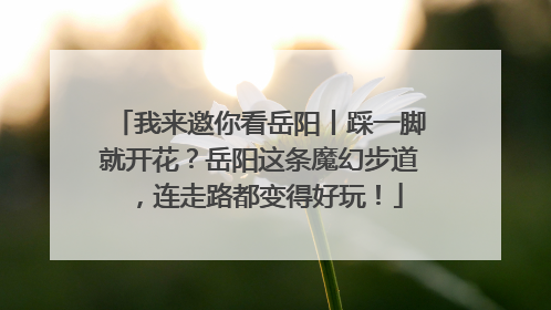 我来邀你看岳阳丨踩一脚就开花？岳阳这条魔幻步道，连走路都变得好玩！