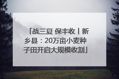 战三夏 保丰收丨新乡县：20万亩小麦种子田开启大规模收割