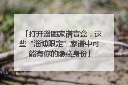 打开淄图家谱盲盒，这些“淄博限定”家谱中可能有你的隐藏身份