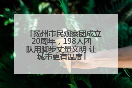 扬州市民观察团成立20周年，198人团队用脚步丈量文明 让城市更有温度
