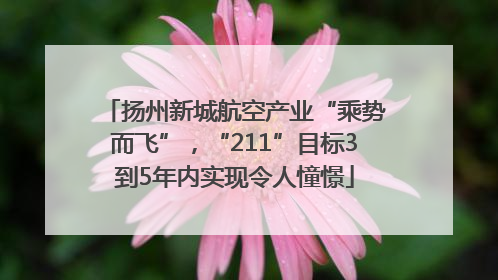 扬州新城航空产业“乘势而飞”，“211”目标3到5年内实现令人憧憬