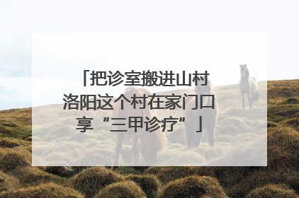 把诊室搬进山村 洛阳这个村在家门口享“三甲诊疗”