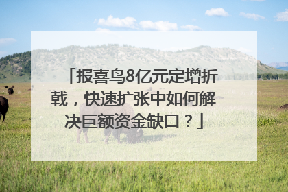报喜鸟8亿元定增折戟，快速扩张中如何解决巨额资金缺口？