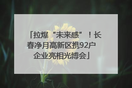 拉爆“未来感”！长春净月高新区携92户企业亮相光博会