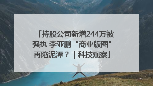 持股公司新增244万被强执 李亚鹏“商业版图”再陷泥潭？｜科技观察