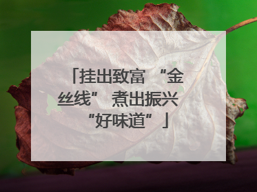 挂出致富 “金丝线” 煮出振兴“好味道”