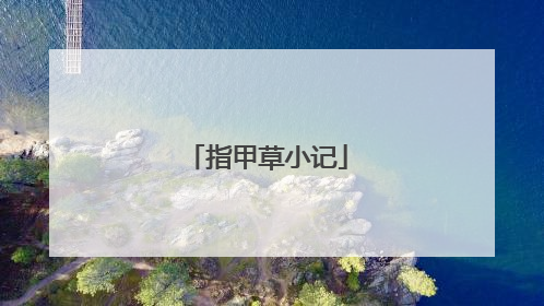 指甲草小记
