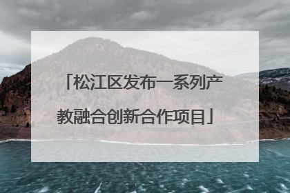 松江区发布一系列产教融合创新合作项目