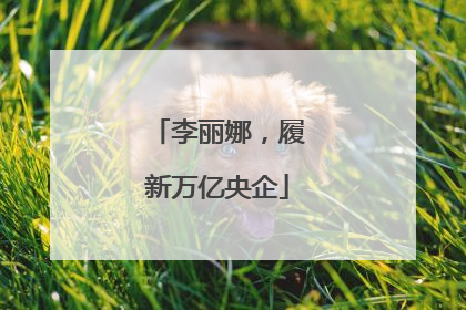 李丽娜，履新万亿央企