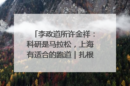 李政道所许金祥：科研是马拉松，上海有适合的跑道｜扎根上海，从0到1
