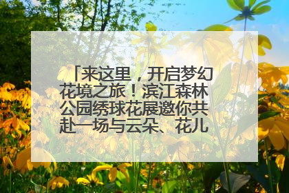 来这里，开启梦幻花境之旅！滨江森林公园绣球花展邀你共赴一场与云朵、花儿的浪漫之约